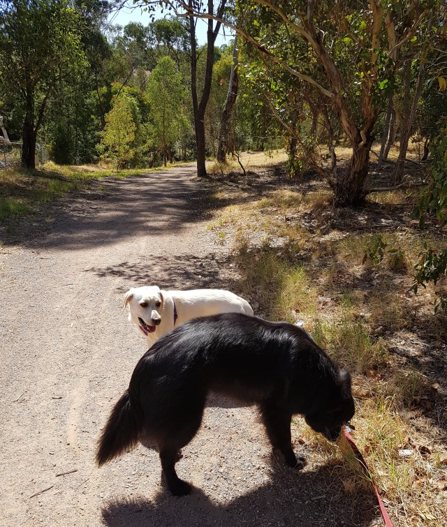 20190327_134248 (2).jpg